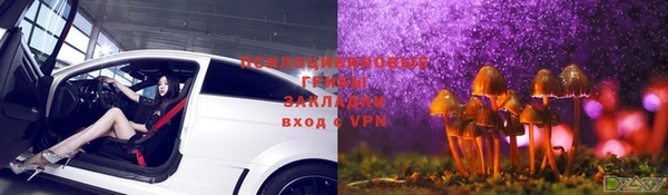 дживик Медногорск