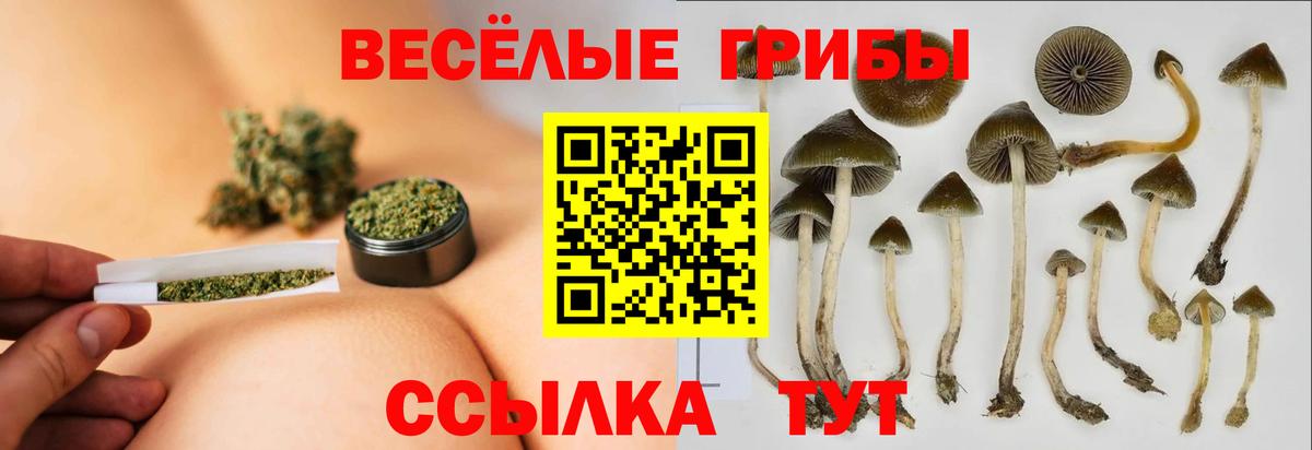Псилоцибиновые грибы GOLDEN TEACHER  Вход с VPN  Каменск-Шахтинский 